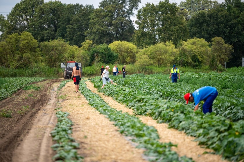 Miejska Farma Wrocławia